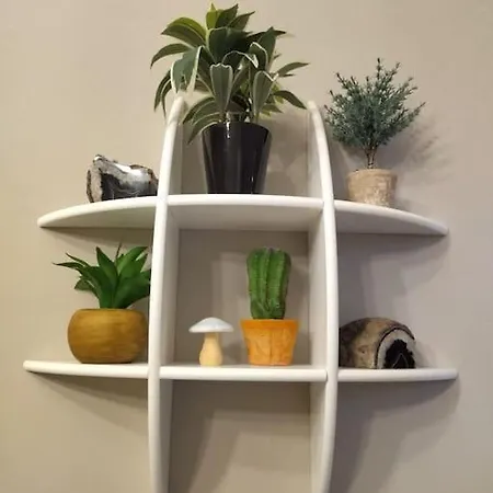 smart sarpi monolocale-2